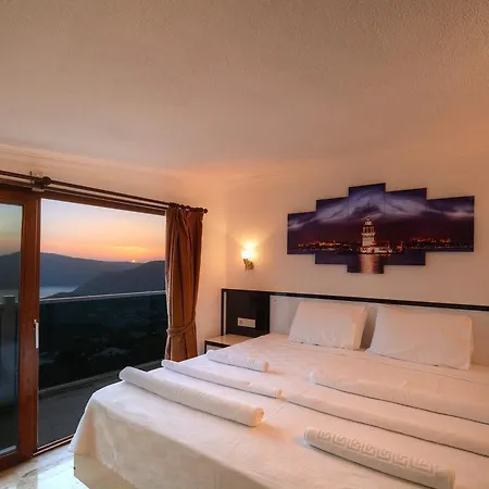 Aliya Villa *