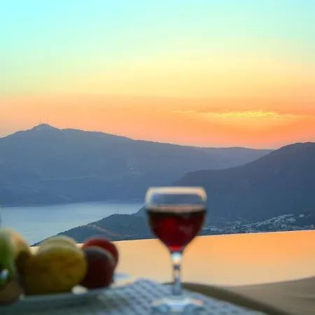 Aliya Kalkan