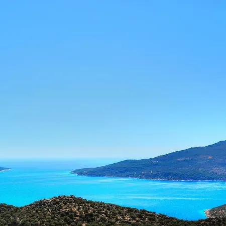 Aliya Kalkan