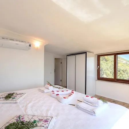 Aliya Villa